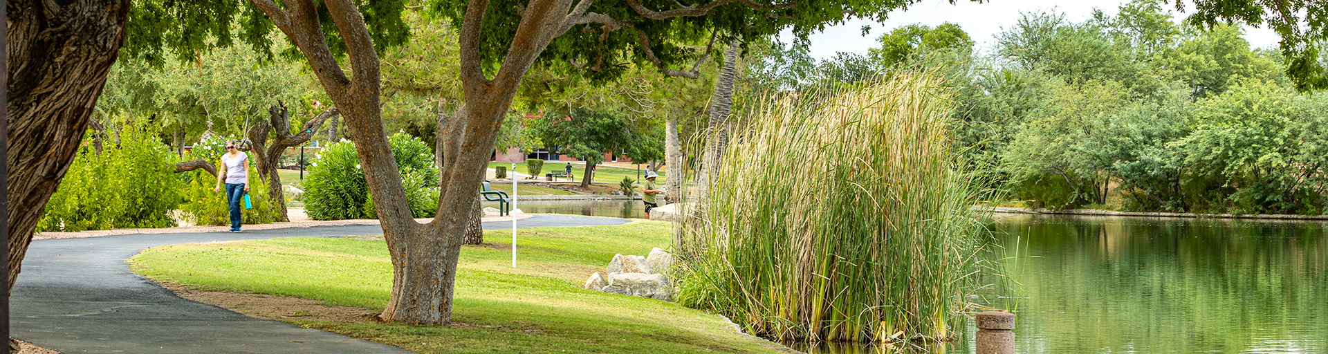 ASU Research Park park grounds